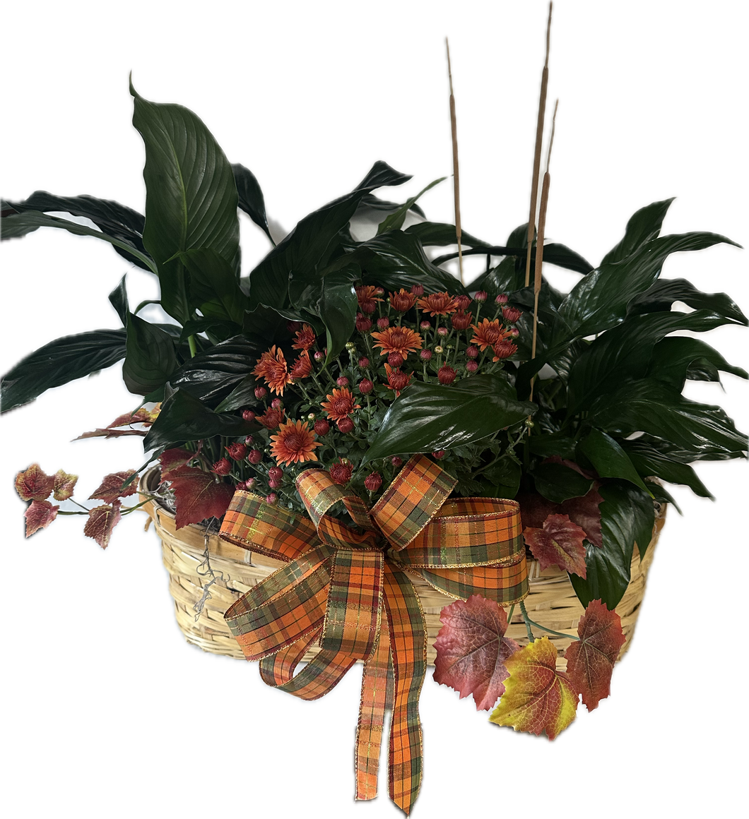 Peace Lily and Mum Basket