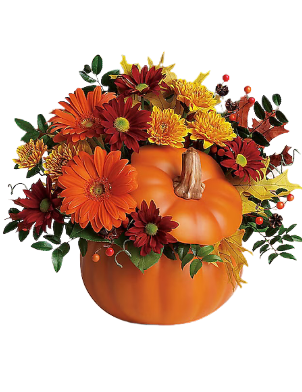 Hello Pumpkin