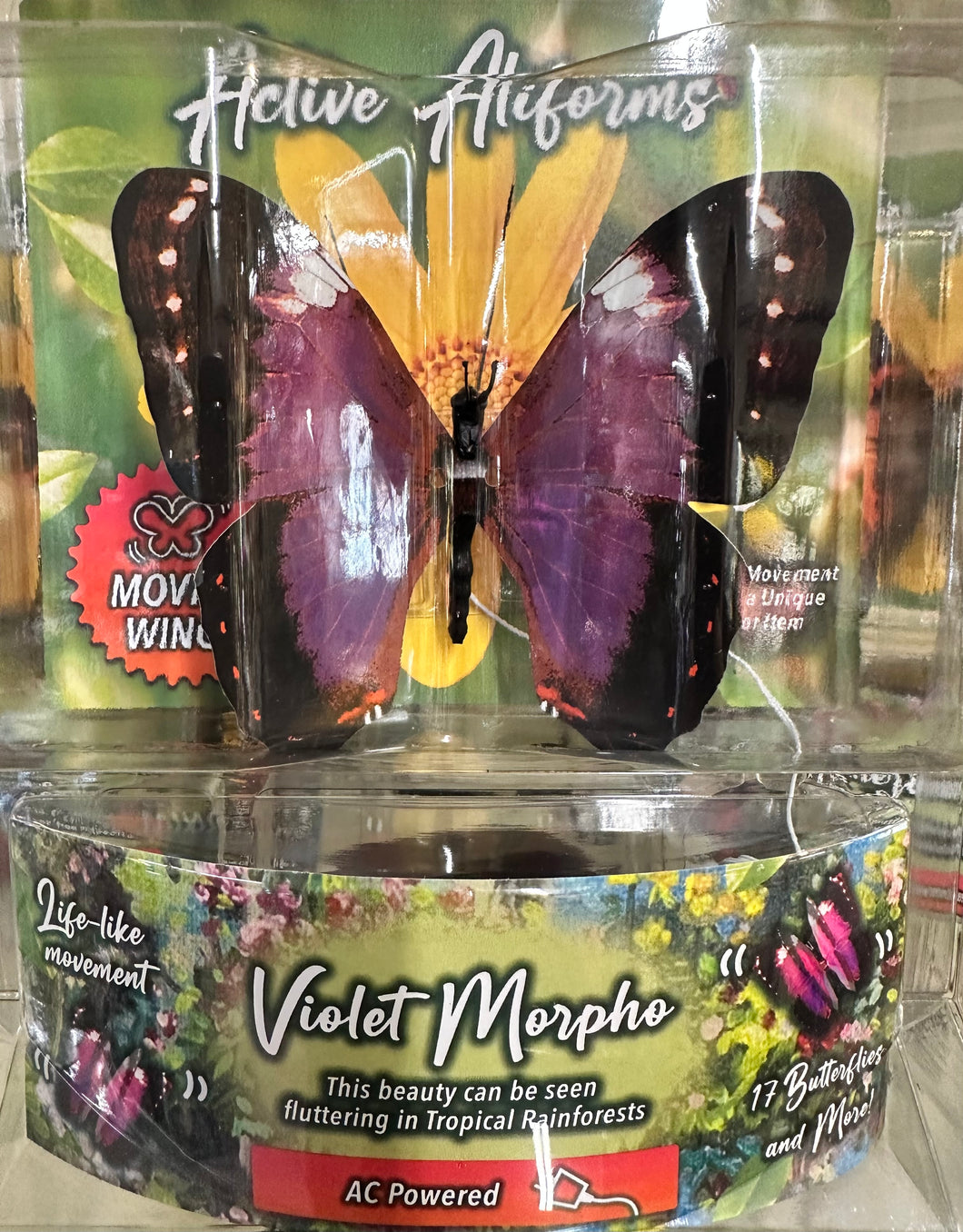 Violet Morpho Moving Butterfly