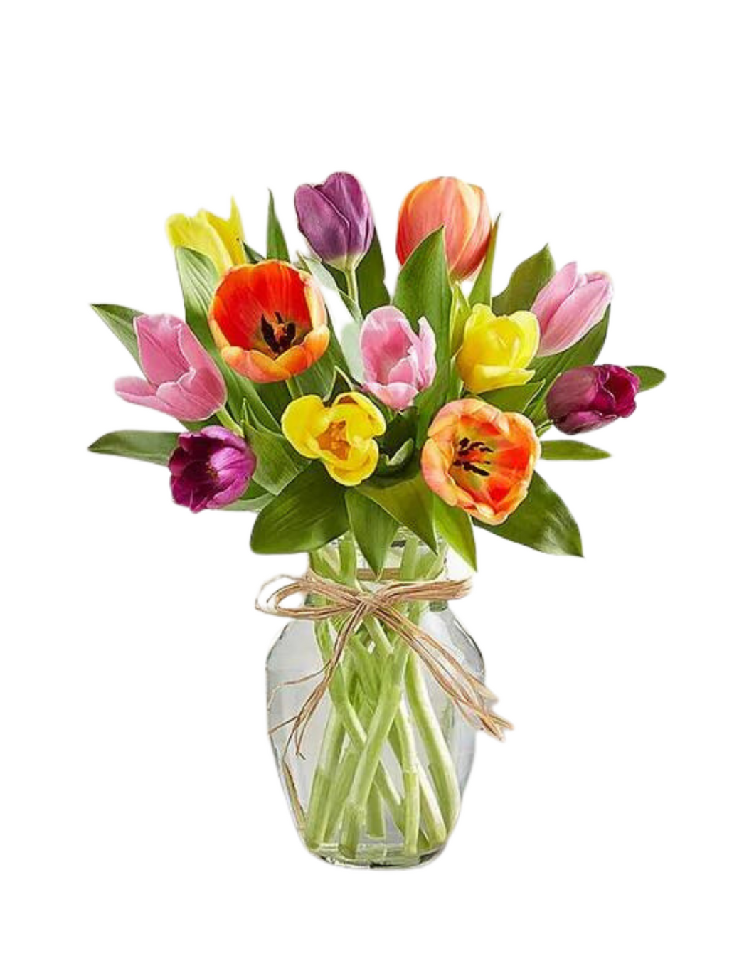 Timeless Tulips